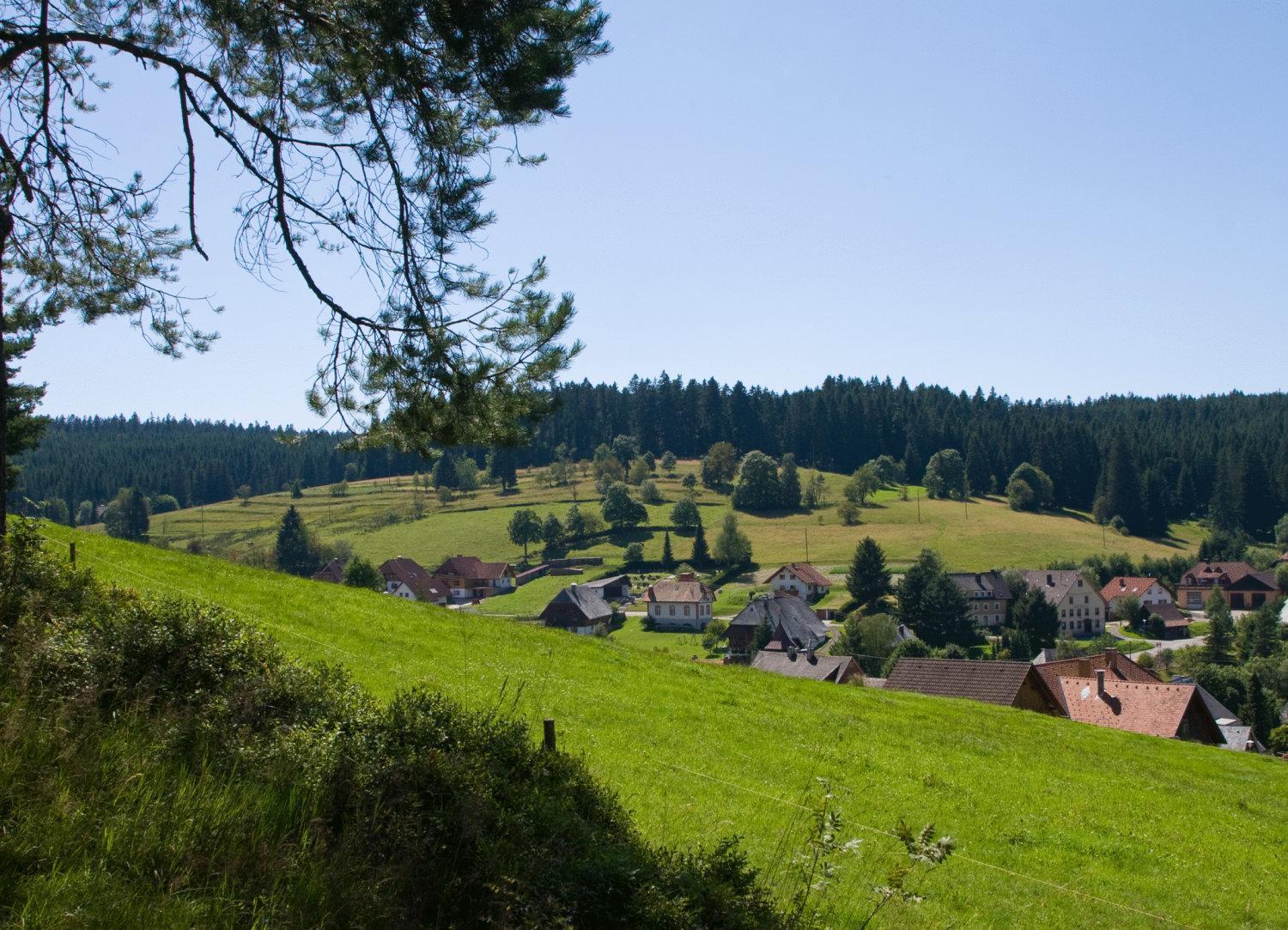 אייזנבאך Auerhahn Bed And Breakfast - Black Forest - Waldhotel מראה חיצוני תמונה